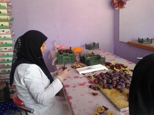 اشتغال زایی ۱۵۰ نفری بانوی کارآفرین  آذربایجانی با چیپس میوه
