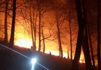 آتش سوزی در جنگلهای ارسباران