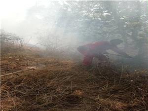 آتش افروزی گردشگران در ارسباران