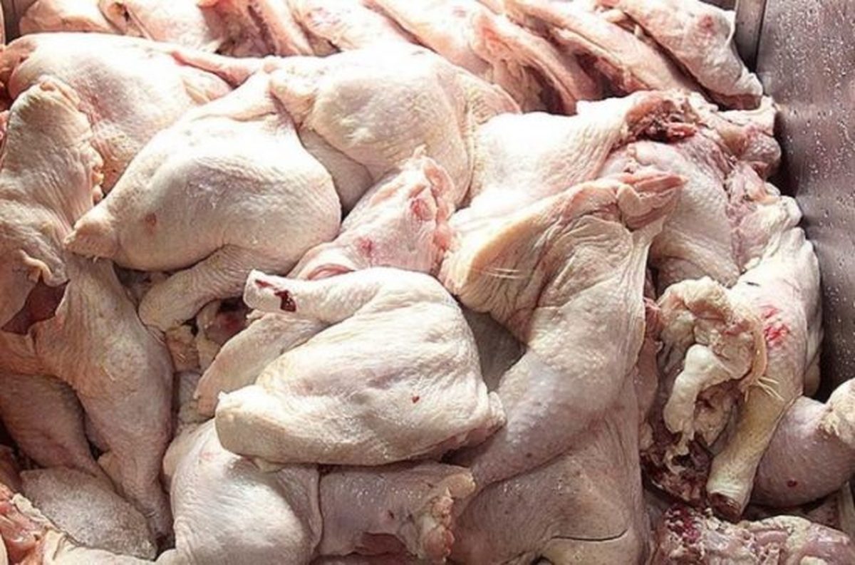 گران فروشی مرغ از ۲۰۴۰۰تومان جریمه دارد