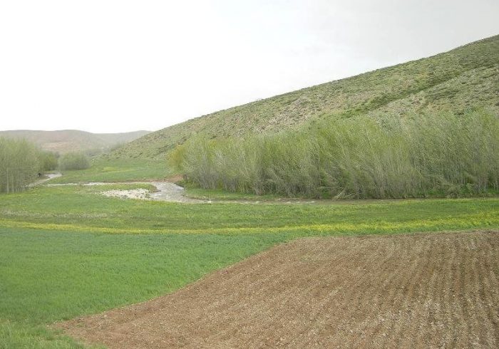 اجرای طرح جهش تولید در دیمزارهای آذربایجان شرقی