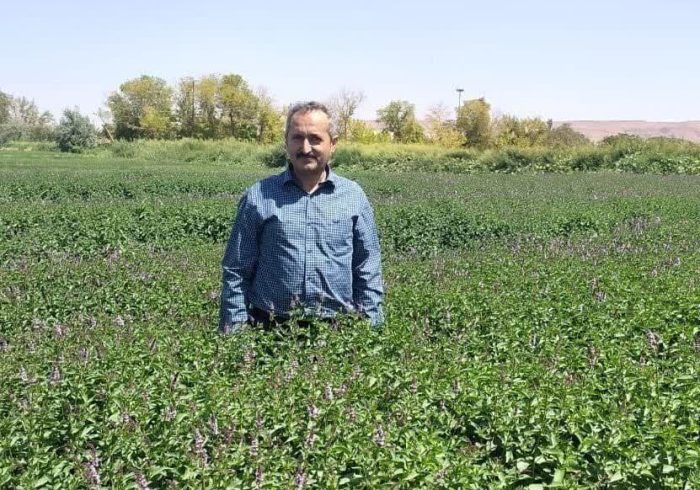 ۲ هزار هکتار سطح زیر کشت سبزی و صیفی شهرستان تبریز